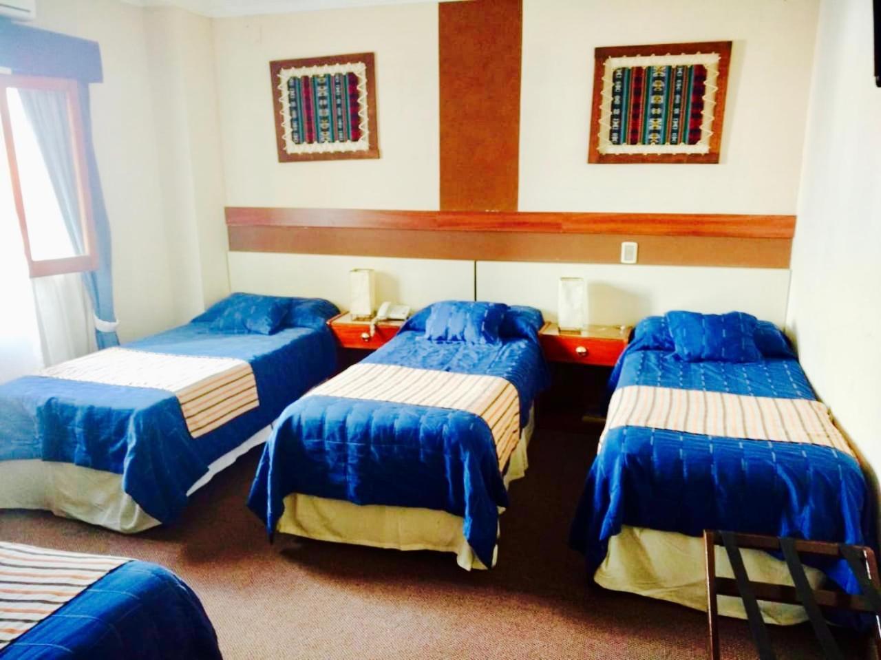 Hotel Shauard 萨尔塔 外观 照片